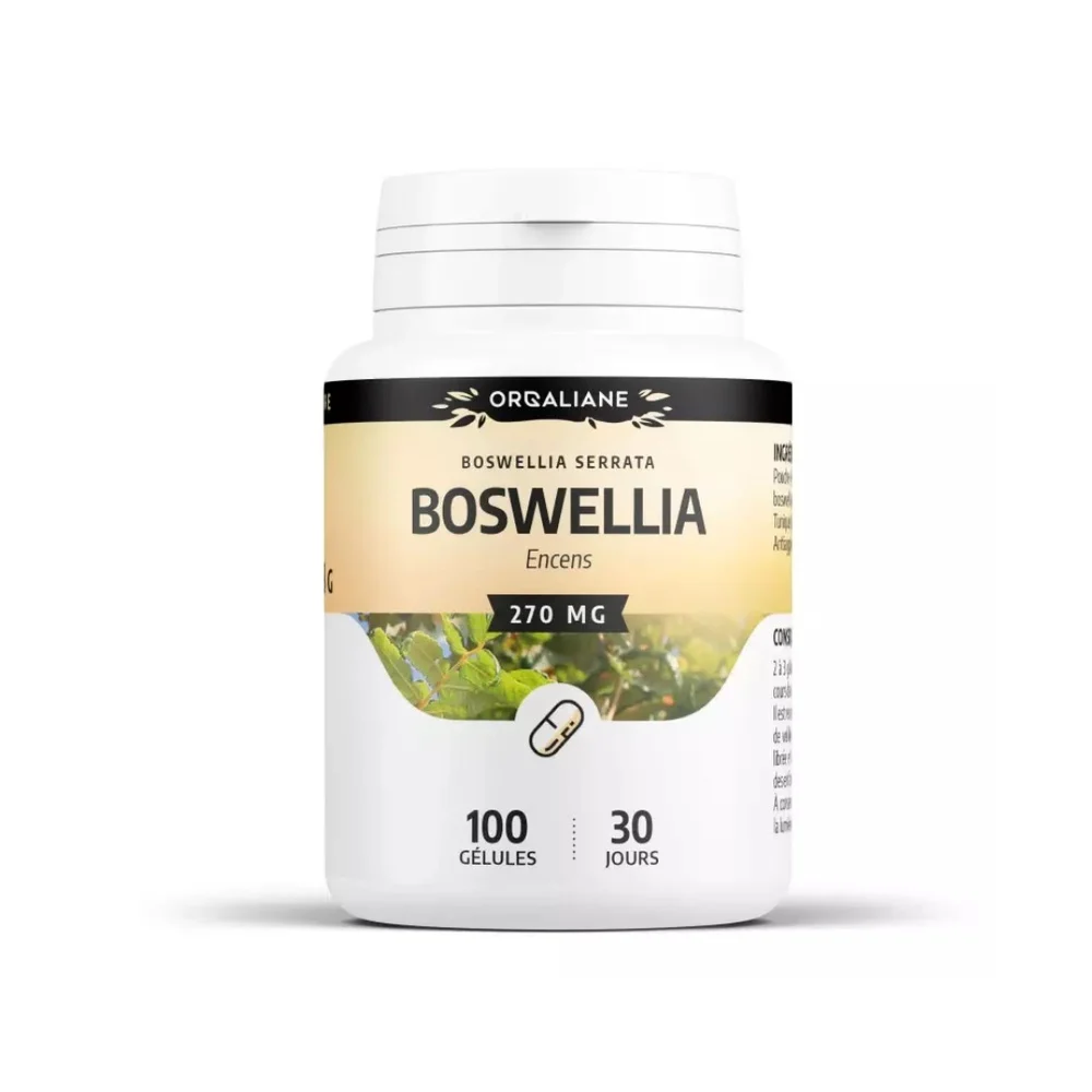 Orgaliane Boswellia Encens Extrait 100 Gelules